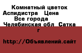 Комнатный цветок Аспидистра › Цена ­ 150 - Все города  »    . Челябинская обл.,Сатка г.